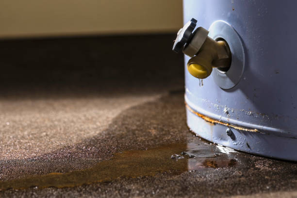 Best Basement water damage restoration  in Montana City, MT
