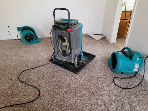 Best 24-hour water damage restoration  in Montana City, MT