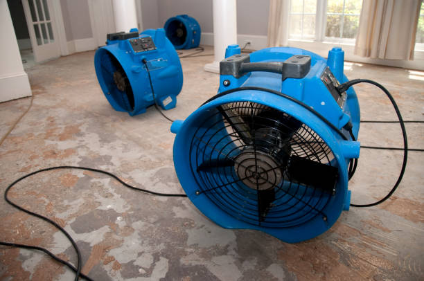 Best Flood restoration services  in Montana City, MT