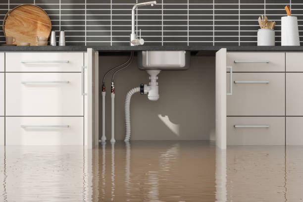 , MT Water damage restoration Company
