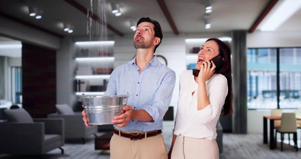 Best Residential water damage restoration  in Montana City, MT