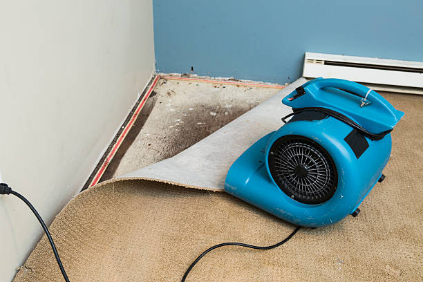 Water damage restoration process in MT